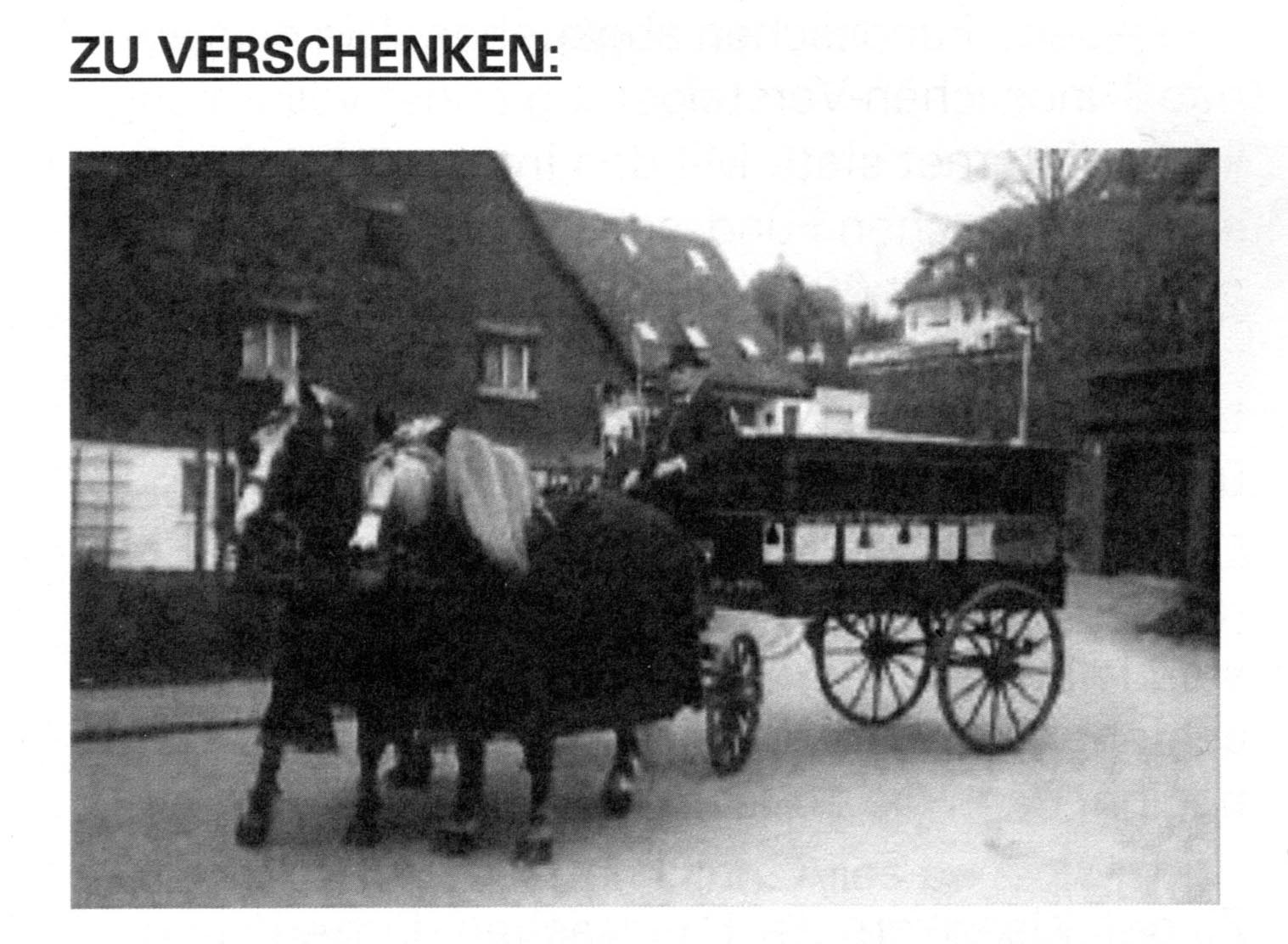 leichenwagen