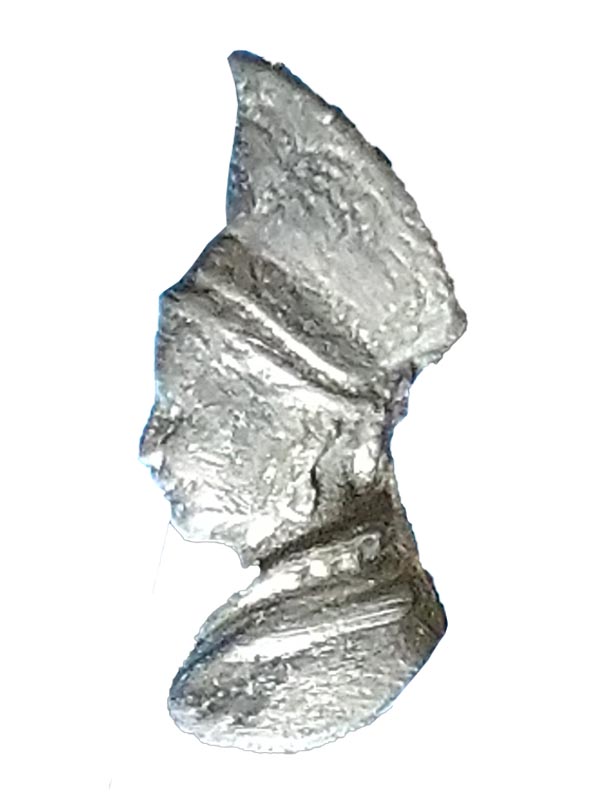 Alt-Villingerin 1966